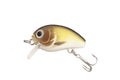 Fishing lure Royalty Free Stock Photo