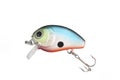 Fishing lure Royalty Free Stock Photo