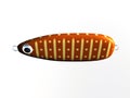 Fishing lure