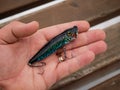 Fishing lures and accessories in the box background. Focus in the center of the bait Royalty Free Stock Photo