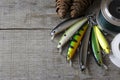 Fishing lures and accessories Royalty Free Stock Photo