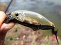 Fishing lures close up Royalty Free Stock Photo