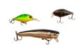 Fishing lures for predatory fish.