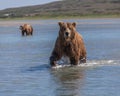 Fishing in McNeil Lagoon Royalty Free Stock Photo