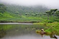 Fishing in the middle of tea plantations, Sri Lanka