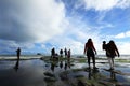 Fishing at Muriwai Royalty Free Stock Photo