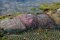 Fishing net bags