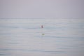 Fishing net buoy in the middle of mediterranean sea Royalty Free Stock Photo