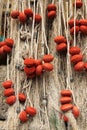 Fishing net in camogli Royalty Free Stock Photo