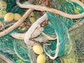 Fishing net is drying in the port. Green net Royalty Free Stock Photo