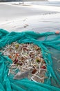 Fishing net full of fish on beach Royalty Free Stock Photo