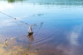 Fishing net. Poaching. Place for your text. Royalty Free Stock Photo