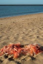 Fishing nets on the beach Royalty Free Stock Photo