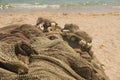 Fishing nets on beach Royalty Free Stock Photo