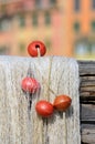 Fishing nets Royalty Free Stock Photo