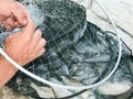 Fishing nets with dorado fresh fish Royalty Free Stock Photo