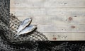 Fishing nets and dried fish still-life on the wooden background. Royalty Free Stock Photo