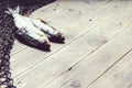 Fishing nets and dried fish still-life on the wooden background. Royalty Free Stock Photo