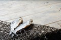 Fishing nets and dried fish on the wooden background.