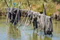 Fishing nets