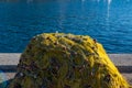 Fishing nets drying under the sun. Fisherman equipment Royalty Free Stock Photo