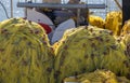 Fishing nets drying under the sun. Fisherman equipment Royalty Free Stock Photo