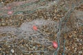 Fishing nets and floats lying on shingle beach for use as background Royalty Free Stock Photo