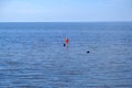 Fishing nets have marker flags for easier spotting. Baltic Sea Royalty Free Stock Photo