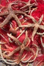 Fishing nets & sea stars Royalty Free Stock Photo