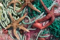 Fishing nets & sea stars Royalty Free Stock Photo