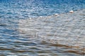 Fishing nets wall with white floats for fishing in sea Royalty Free Stock Photo