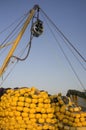 Fishing Nets With Yellow Plastic Floats