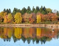 Fishing in October foliage lake reflection in NewYorkState Royalty Free Stock Photo