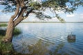 Fishing Pen in Water by Tree Royalty Free Stock Photo