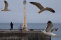 Fishing pier in Anstruther, Scotland, U.K