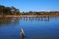 Fishing pier, Eagle Point, small town in Victoria, Australia