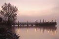 Fishing Pier Fog, Fraser River, Richmond Royalty Free Stock Photo