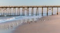 Fishing pier and sea gulls Royalty Free Stock Photo