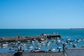 Fishing and pleasure boats in Gorey harbour, Jersey, Channel Islands, British Isles
