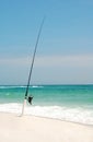 Fishing Pole on Beach