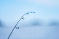 Fishing pole lightly bent by a fish on hook.. Royalty Free Stock Photo