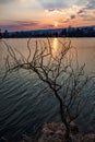 Fishing pond Badinsky Rybnik during sunset from behind a dead tree in the central Slovakia Royalty Free Stock Photo