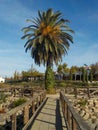 Fishing pond in La Coronada, Extremadura - Spain Royalty Free Stock Photo