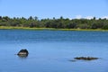 Fishing ponds at Kaloko-Honokohau National Historic Park at Kailua-Kona on the Big Island in Hawaii