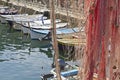 In the fishing port of Camogli