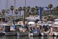 Fishing port of Golfe-Juan in France