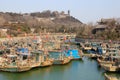 Fishing port of Penglai Ã¯Â¼ÅChina Royalty Free Stock Photo