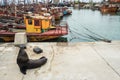 Fishing port and sea lions, city of Mar del Plata, Argentina