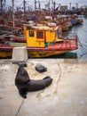 Fishing port and sea lions, city of Mar del Plata, Argentina