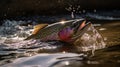 Fishing. Rainbow trout fish jumping with splashing in water Royalty Free Stock Photo